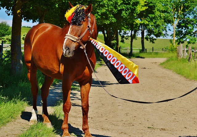 圣吉罗斯主帅：马竞有弱点也会丢球，我们不是来这里旅游的